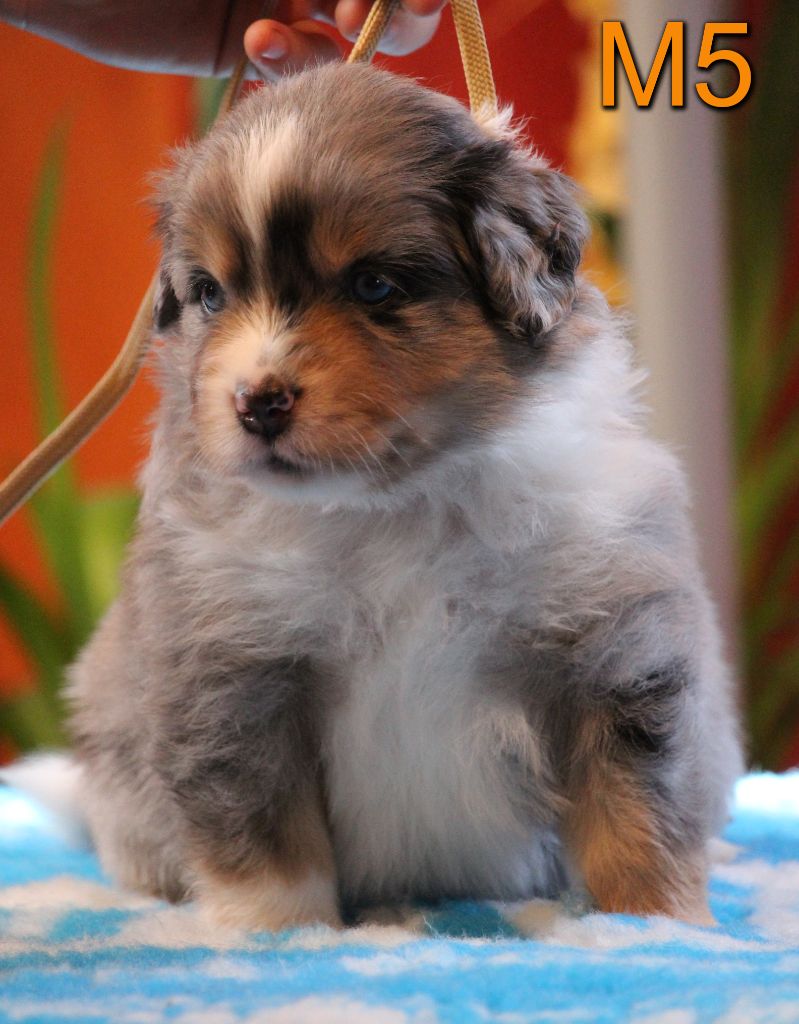 U ' floky Des Griffes D'Artio