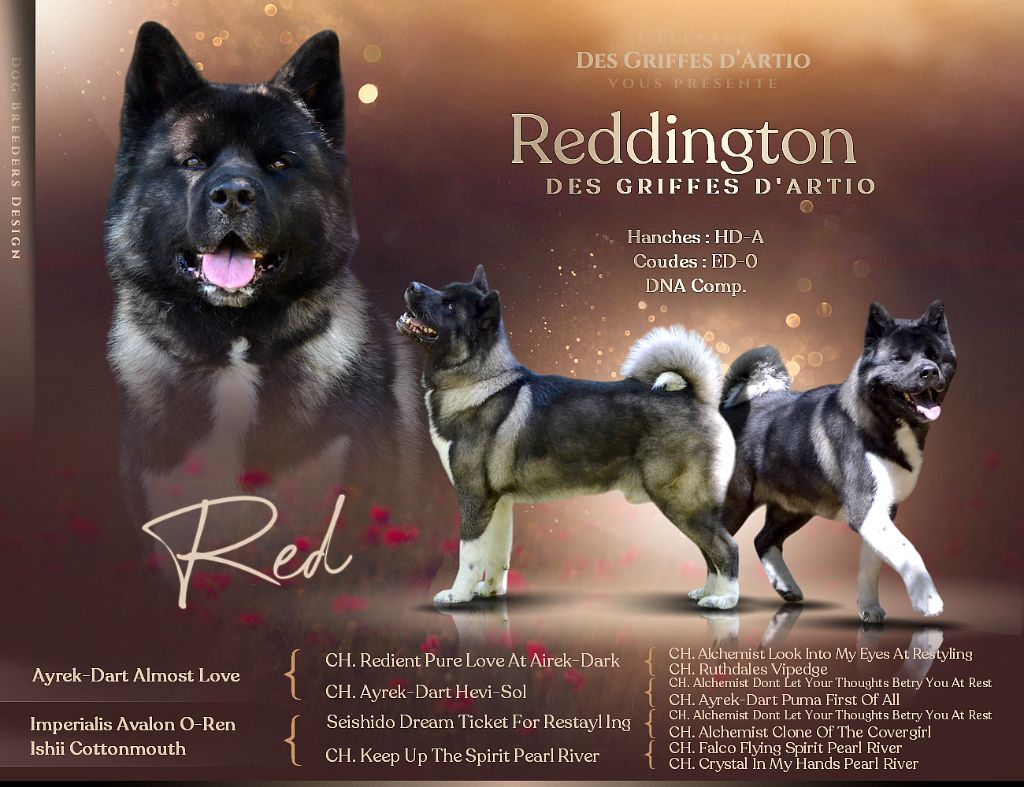 Reddington Des Griffes D'Artio