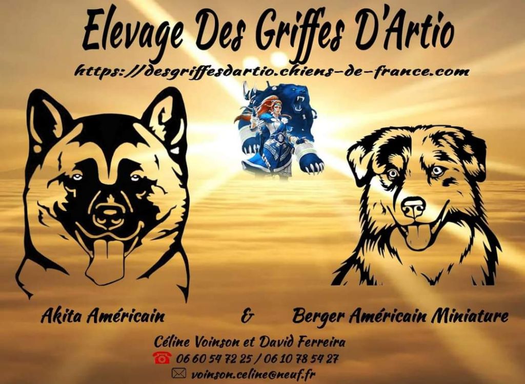 Des Griffes D'Artio